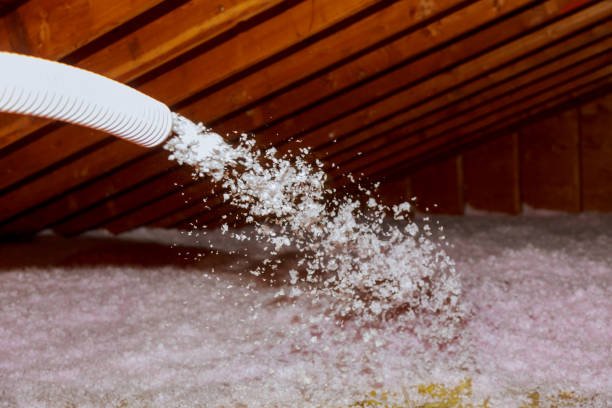 Best Eco-Friendly Insulation in Bossier City, LA